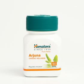 Экстракт растений Himalaya Arjuna «Арджуна», нормализация сердечного ритма, 60 таблеток
Экстракт растений Himalaya Arjuna «Арджуна», нормализация сердечного ритма, 60 таблеток