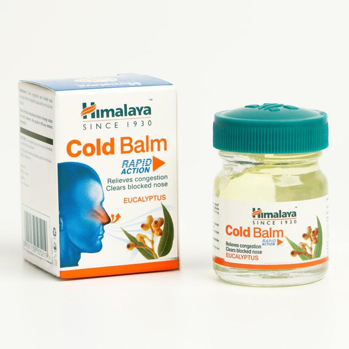 Бальзам Хималая Веллнес Cold Balm Himalaya Wellness от простуды, 10 г
Бальзам Хималая Веллнес Cold Balm Himalaya Wellness от простуды, 10 г