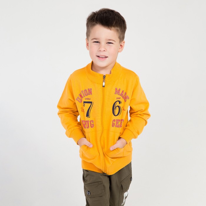 Толстовка для мальчика, цвет горчица, рост 110 см
Толстовка для мальчика, цвет горчица, рост 110 см