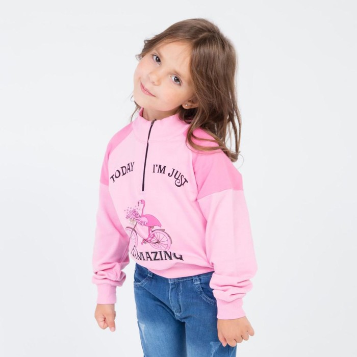 Свитшот для девочки, цвет светло-розовый, рост 110 см (5)
Свитшот для девочки, цвет светло-розовый, рост 110 см (5)