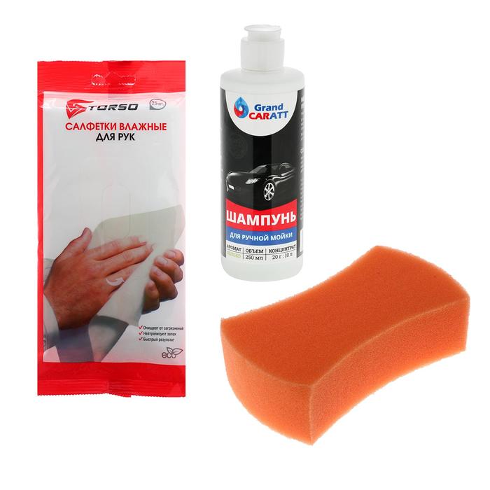 Набор для ухода за авто, 3 предмета: шампунь ручной 250 мл, губка, салфетки для рук