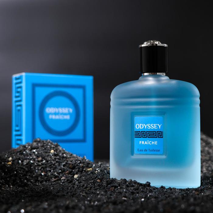 Туалетная вода мужская Odyssey Fraiche, 100 мл
Туалетная вода мужская Odyssey Fraiche, 100 мл