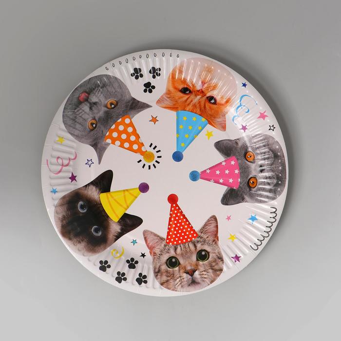 Тарелка бумажная «Котики», 23 см, набор 6 шт.
Тарелка бумажная «Котики», 23 см, набор 6 шт.
