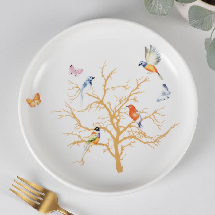 Тарелка обеденная «Колибри», d=21 см, цвет белый
Тарелка обеденная «Колибри», d=21 см, цвет белый
