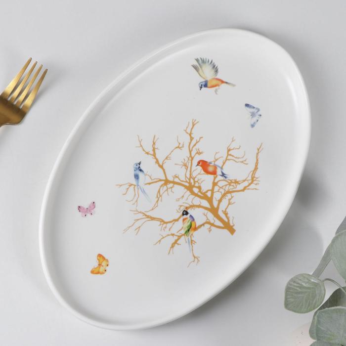 Блюдо овальное «Колибри», 29×19×2 см, цвет белый
Блюдо овальное «Колибри», 29×19×2 см, цвет белый