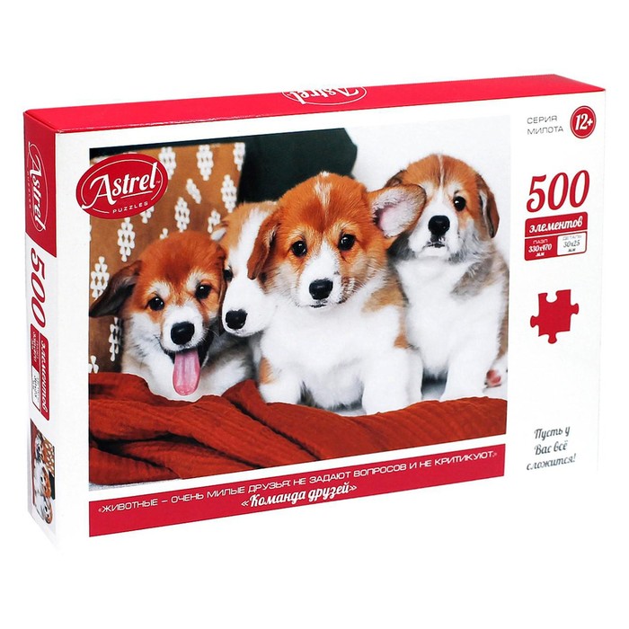 Пазл «Команда друзей», 500 элементов
Пазл «Команда друзей», 500 элементов