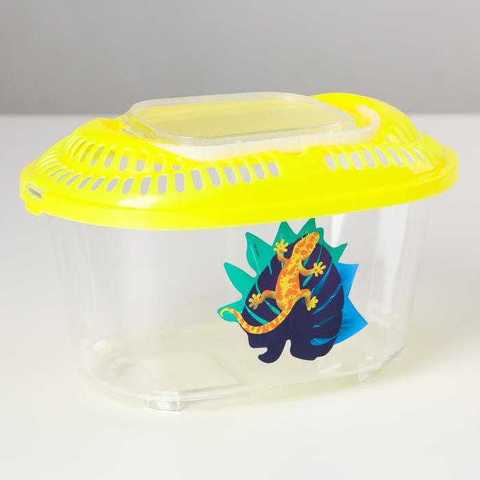 Переноска «Тропики» 19x12.8x11.3, жёлтая
Переноска «Тропики» 19x12.8x11.3, жёлтая