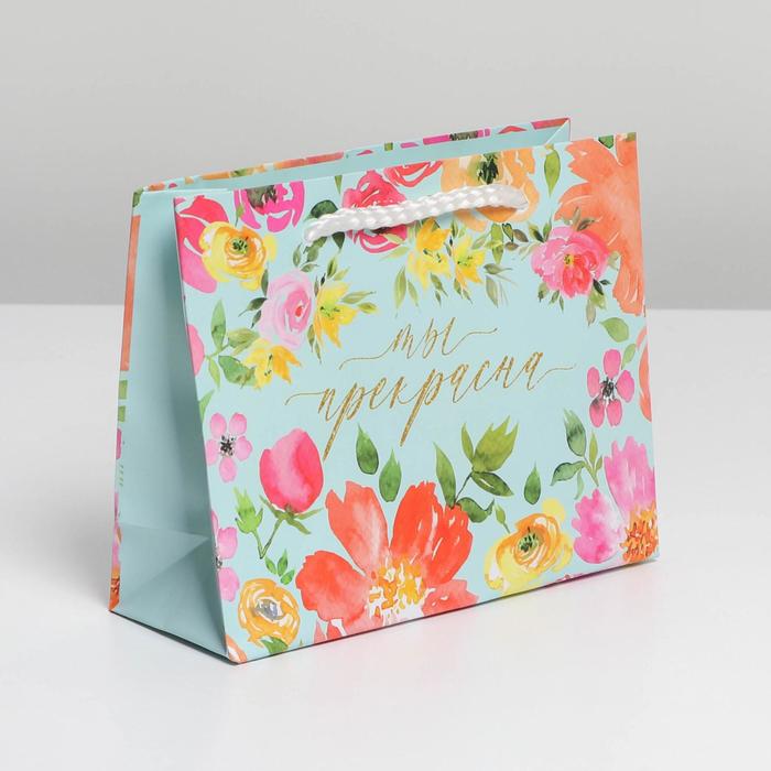 Пакет ламинированный Beautiful, S 15 х 12 х 5,5 см 
Пакет ламинированный Beautiful, S 15 х 12 х 5,5 см