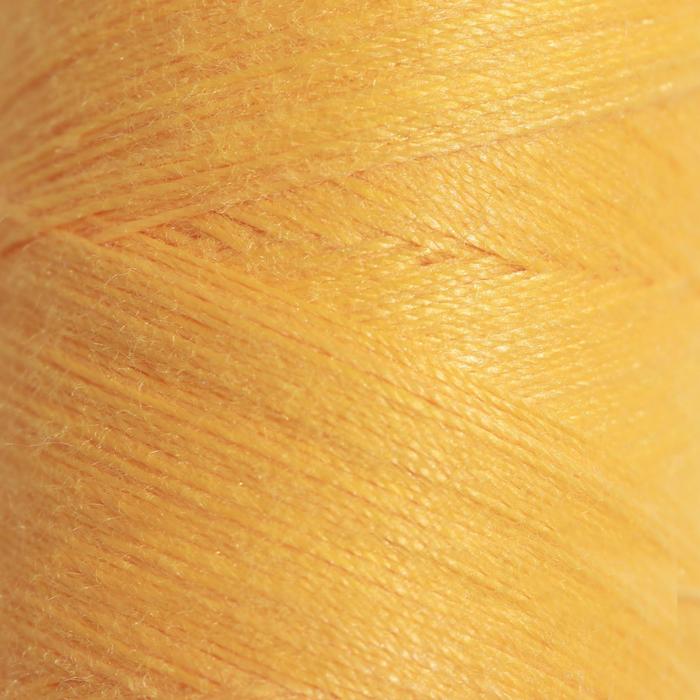 Нитки 40ЛШ, 200 м, цвет жёлто-оранжевый №0208
Нитки 40ЛШ, 200 м, цвет жёлто-оранжевый №0208