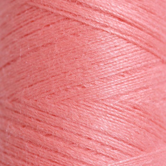 Нитки 40ЛШ, 200 м, цвет лососевый №0806
Нитки 40ЛШ, 200 м, цвет лососевый №0806