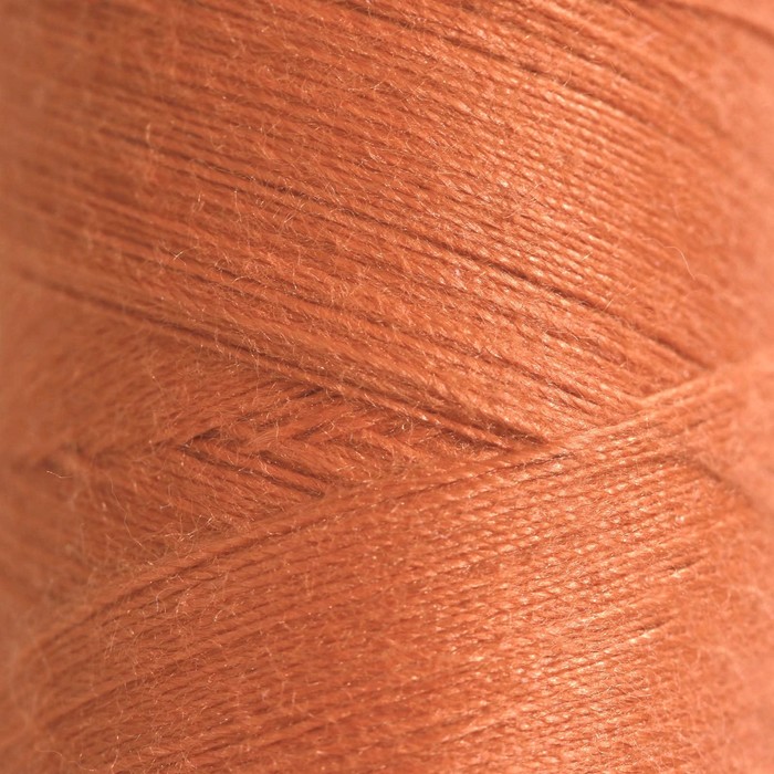 Нитки 40ЛШ, 200 м, цвет оранжевый №0502
Нитки 40ЛШ, 200 м, цвет оранжевый №0502