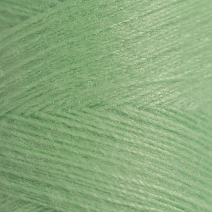 Нитки 40ЛШ, 200 м, цвет мятно-зелёный №3902 
Нитки 40ЛШ, 200 м, цвет мятно-зелёный №3902