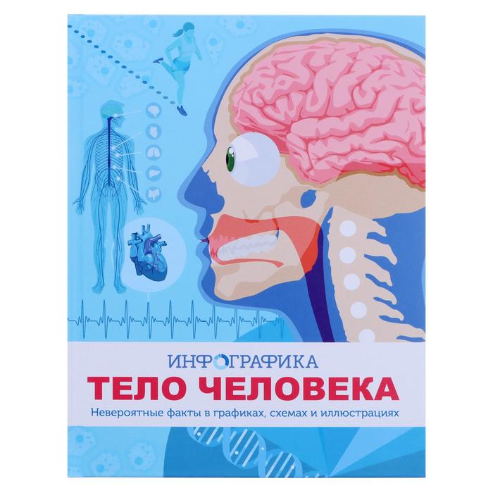 Тело человека «Инфографика»
Тело человека «Инфографика»