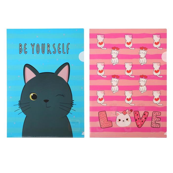 Папка-уголок А4, 180мкм, дизайн микс* 2 вида
Папка-уголок А4, 180мкм, дизайн микс* 2 вида