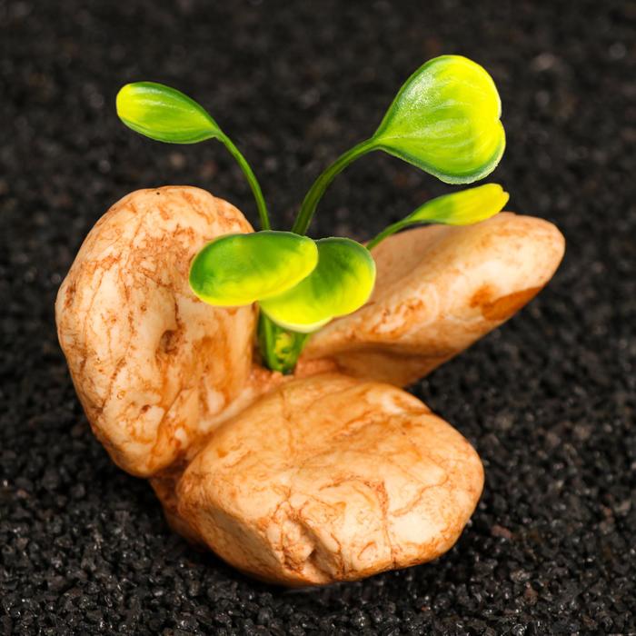 Декор для террариума под камни, 12,5 х 12 х 10 см
Декор для террариума под камни, 12,5 х 12 х 10 см