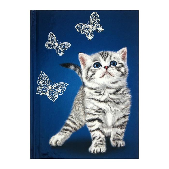 Записная книжка, А6+, 80 листов, "Котёнок", твёрдая обложка, тиснение фольгой, шелкография, блок 70 г/м²
Записная книжка, А6+, 80 листов, "Котёнок", твёрдая обложка, тиснение фольгой, шелкография, блок 70 г/м²