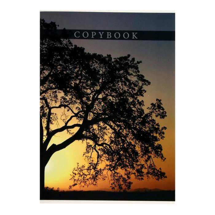 Тетрадь-перевёртыш А4, 80 листов в клетку "Дерево на закате", обложка мелованный картон, Уф-лак
Тетрадь-перевёртыш А4, 80 листов в клетку "Дерево на закате", обложка мелованный картон, Уф-лак