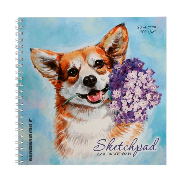 Скетчпад 195 х 195, 20 листов на гребне "Щенок", твёрдая обложка, белый акварельный блок 200 г/м2
Скетчпад 195 х 195, 20 листов на гребне "Щенок", твёрдая обложка, белый акварельный блок 200 г/м2
