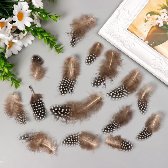 Набор декоративных перьев цесарки "Fabrika Decoru" 10 шт, 5-8 см, серый
Набор декоративных перьев цесарки "Fabrika Decoru" 10 шт, 5-8 см, серый