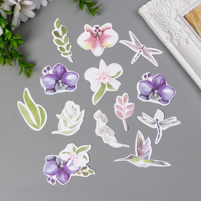 Набор высечек коллекция "Orchid song" 49 шт
Набор высечек коллекция "Orchid song" 49 шт