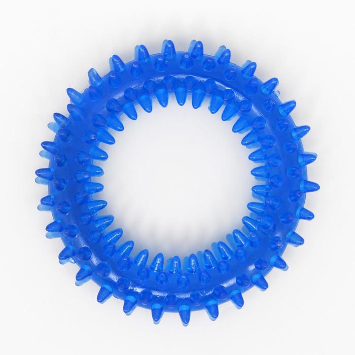 фото Игрушка жевательная для собак "игольчатое кольцо", 9 см, синяя пижон