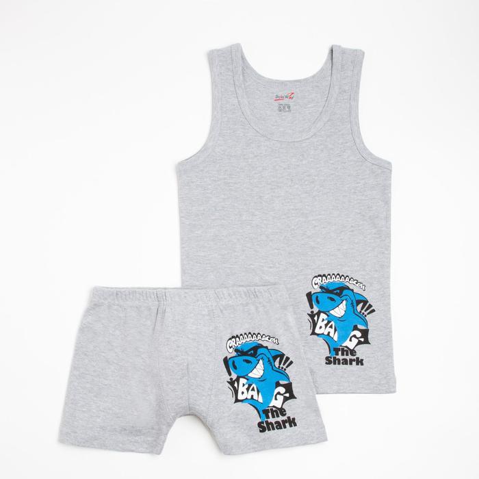 Комплект (майка,трусы) для мальчика, цвет серый, рост 92-98 см
Комплект (майка,трусы) для мальчика, цвет серый, рост 92-98 см