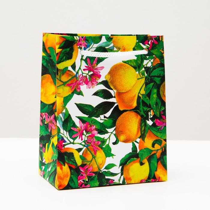 Пакет подарочный "Лимонный сад", 11,5 х 14,5 х 6,5 см
Пакет подарочный "Лимонный сад", 11,5 х 14,5 х 6,5 см