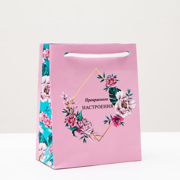 Пакет подарочный "Прекрасного настроения", 11,5 х 14,5 х 6,5 см
Пакет подарочный "Прекрасного настроения", 11,5 х 14,5 х 6,5 см