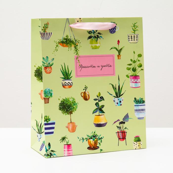 Пакет подарочный "Красоты и уюта", 26 х 32 х 12 см
Пакет подарочный "Красоты и уюта", 26 х 32 х 12 см