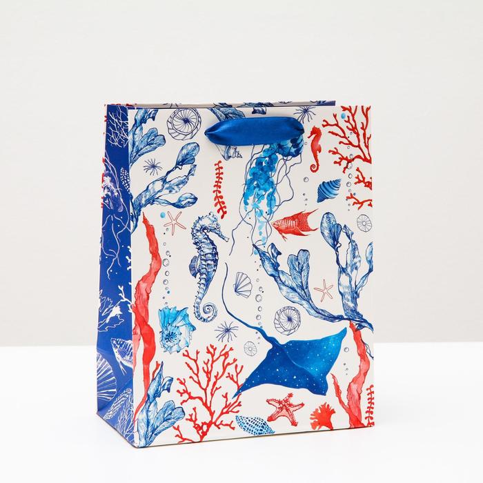 Пакет подарочный "Подводный мир", 18 х 22,3 х 10 см
Пакет подарочный "Подводный мир", 18 х 22,3 х 10 см