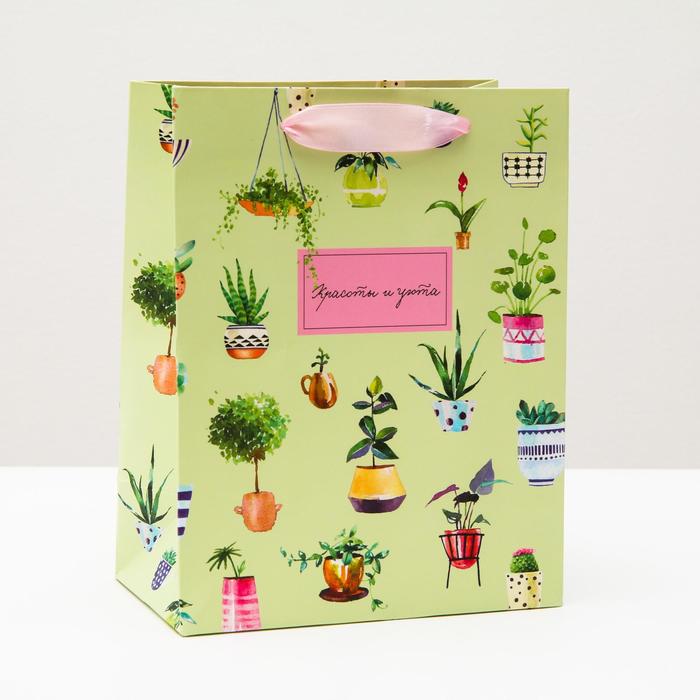 Пакет подарочный "Красоты и уюта", 18 х 22,3 х 10 см 
Пакет подарочный "Красоты и уюта", 18 х 22,3 х 10 см
