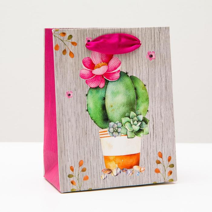 Пакет подарочный "Цветущий кактус", 11,5 х 14,5 х 6,5 см
Пакет подарочный "Цветущий кактус", 11,5 х 14,5 х 6,5 см