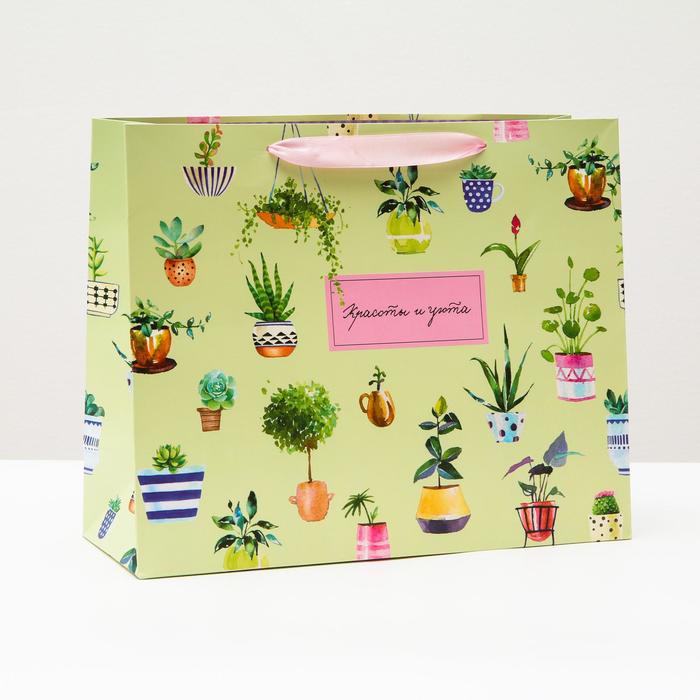 Пакет подарочный "Красоты и уюта", 32 х 26 х 12 см
Пакет подарочный "Красоты и уюта", 32 х 26 х 12 см