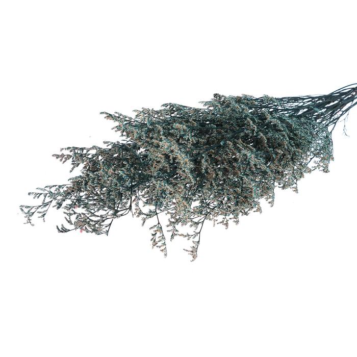 Сухоцвет «Кермек» 130 г, цвет голубой
Сухоцвет «Кермек» 130 г, цвет голубой