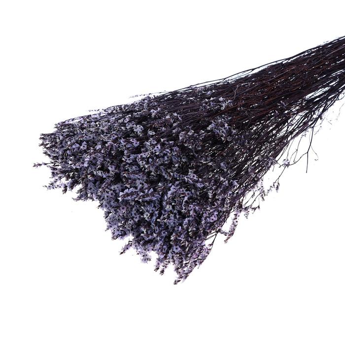 Сухоцвет «Лимониум» 120 г, цвет фиолетовый
Сухоцвет «Лимониум» 120 г, цвет фиолетовый