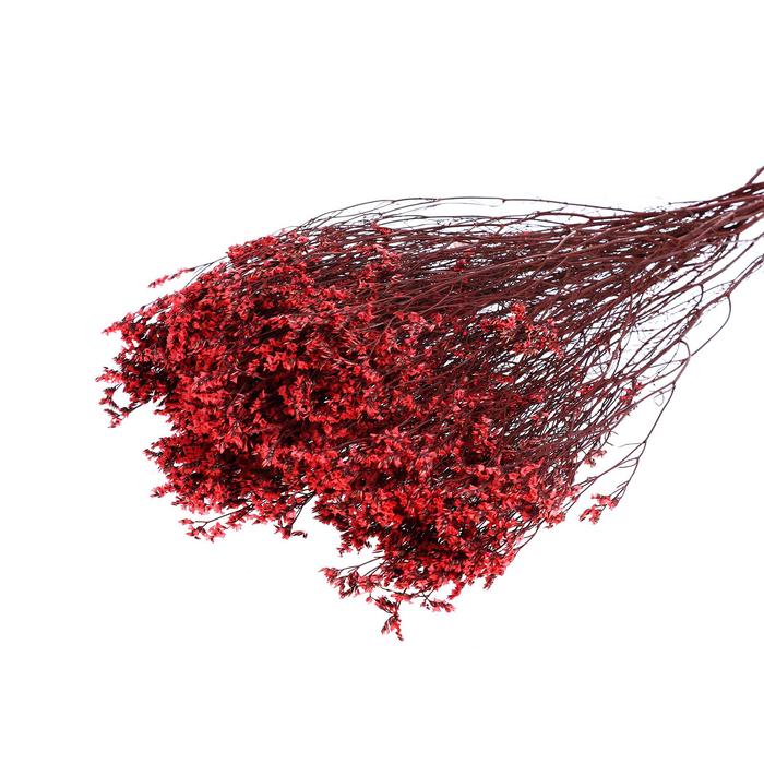 Сухоцвет «Лимониум» 120 г, цвет бордовый
Сухоцвет «Лимониум» 120 г, цвет бордовый