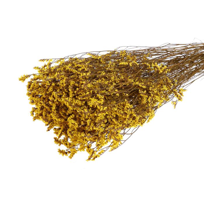 Сухоцвет «Лимониум» 120 г, цвет жёлтый
Сухоцвет «Лимониум» 120 г, цвет жёлтый