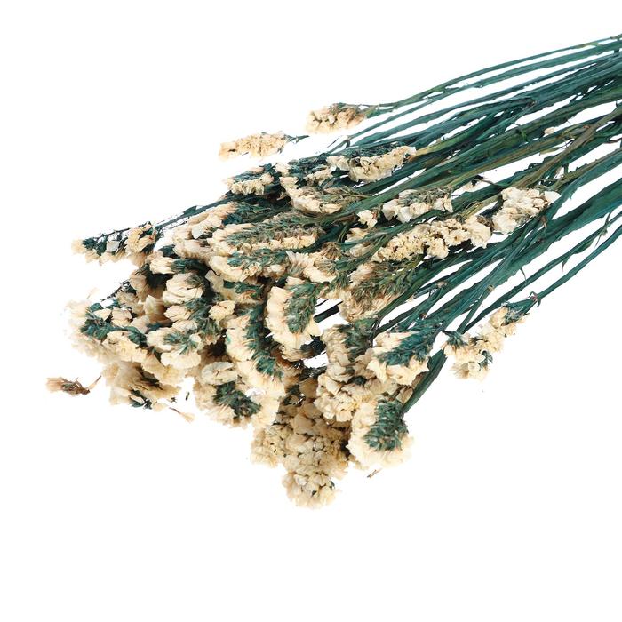 Сухоцвет «Статица» 100 г, цвет белый
Сухоцвет «Статица» 100 г, цвет белый