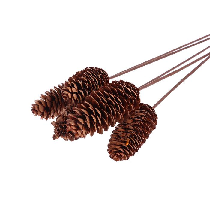 Шишка на металлической палочке, набор 5 шт.
Шишка на металлической палочке, набор 5 шт.