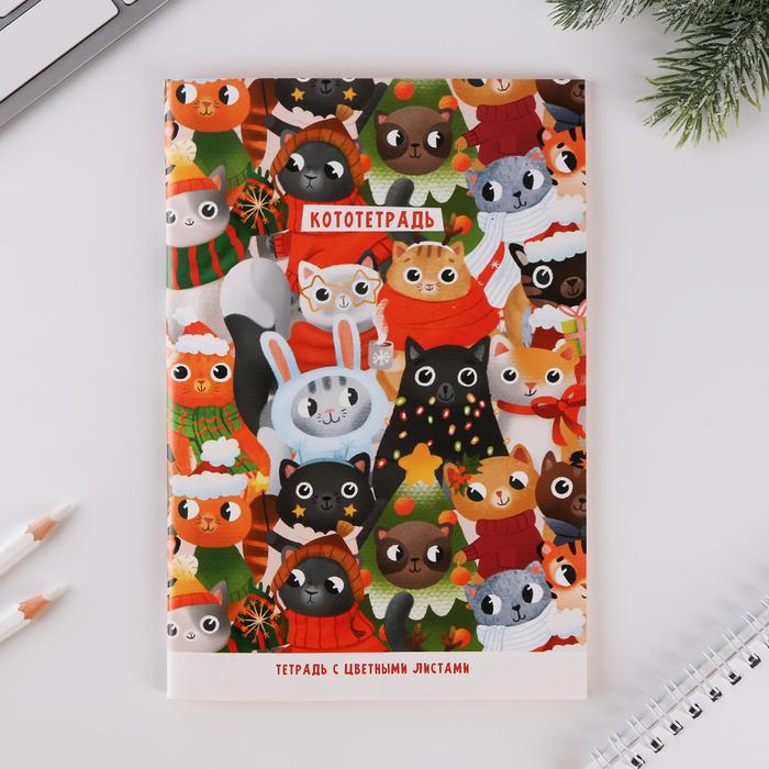 Блокнот А5 с цветными листами «Кото-тетрадь»
Блокнот А5 с цветными листами «Кото-тетрадь»