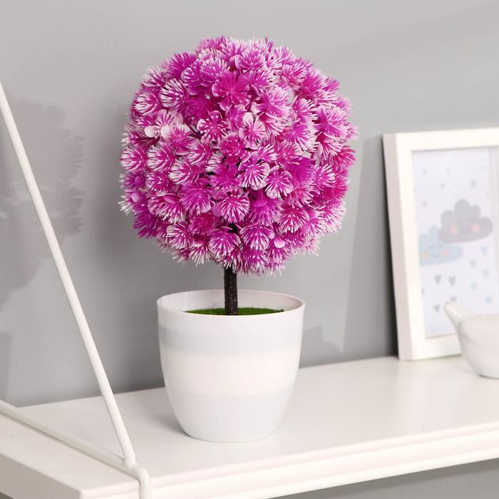 Бонсай "Шар-агератум" 9х24 см, микс
Бонсай "Шар-агератум" 9х24 см, микс