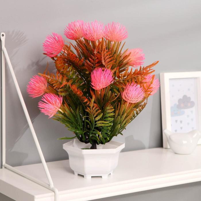 Бонсай "Расторопша" 12х18 см, микс
Бонсай "Расторопша" 12х18 см, микс