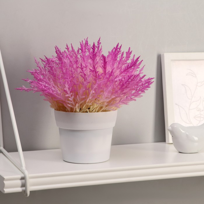 Бонсай "Эрика травянистая" 10х20 см, микс
Бонсай "Эрика травянистая" 10х20 см, микс