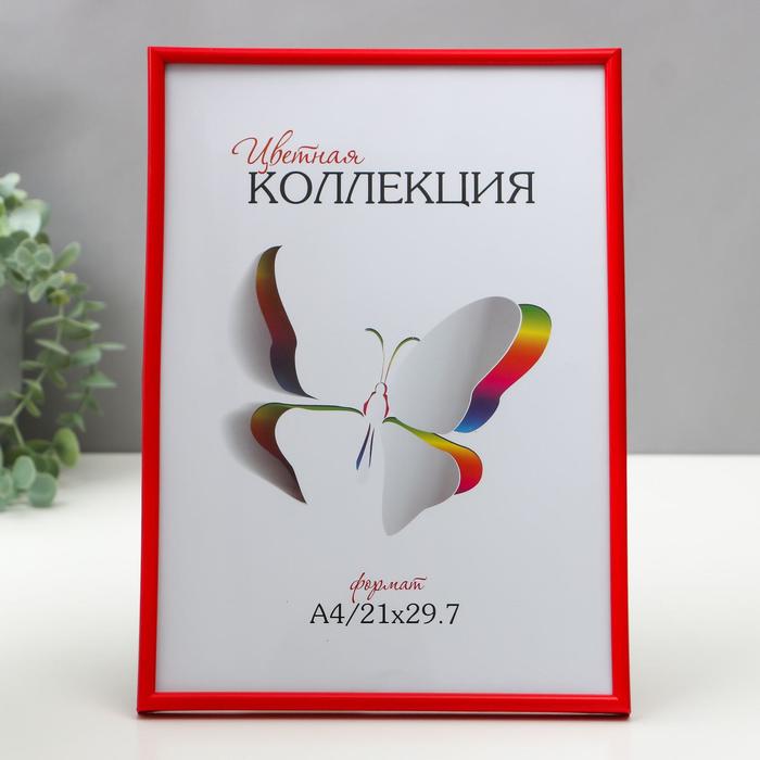 Фоторамка Цветная коллекция 21х29,7 (A4) 6103-A4R красный (12/24)
Фоторамка Цветная коллекция 21х29,7 (A4) 6103-A4R красный (12/24)