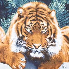 Постельное бельё дуэт «Амур» 147х217 2шт, 217х240, 70х70см 2шт 
Постельное бельё дуэт «Амур» 147х217 2шт, 217х240, 70х70см 2шт