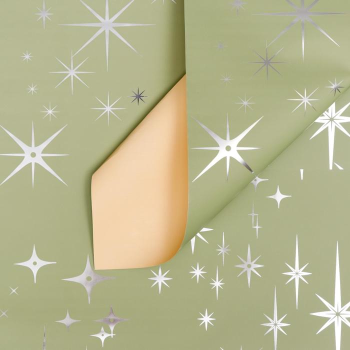 Пленка матовая, 58 х 58 см, зеленая
Пленка матовая, 58 х 58 см, зеленая