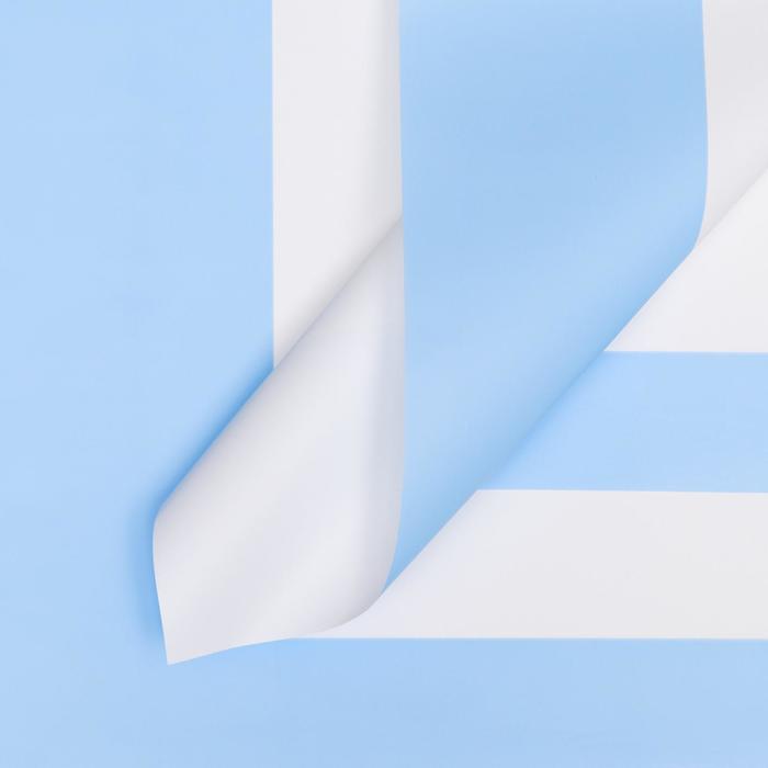 Пленка матовая "Кант", белый-голубой, 58 х 58 см
Пленка матовая "Кант", белый-голубой, 58 х 58 см