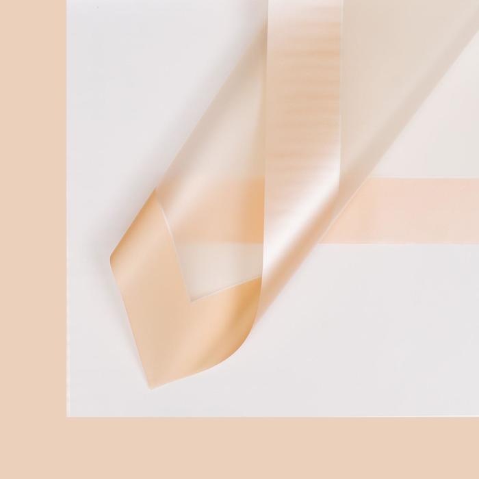 Пленка матовая "Кант", персиковый, 58 х 58 см 
Пленка матовая "Кант", персиковый, 58 х 58 см