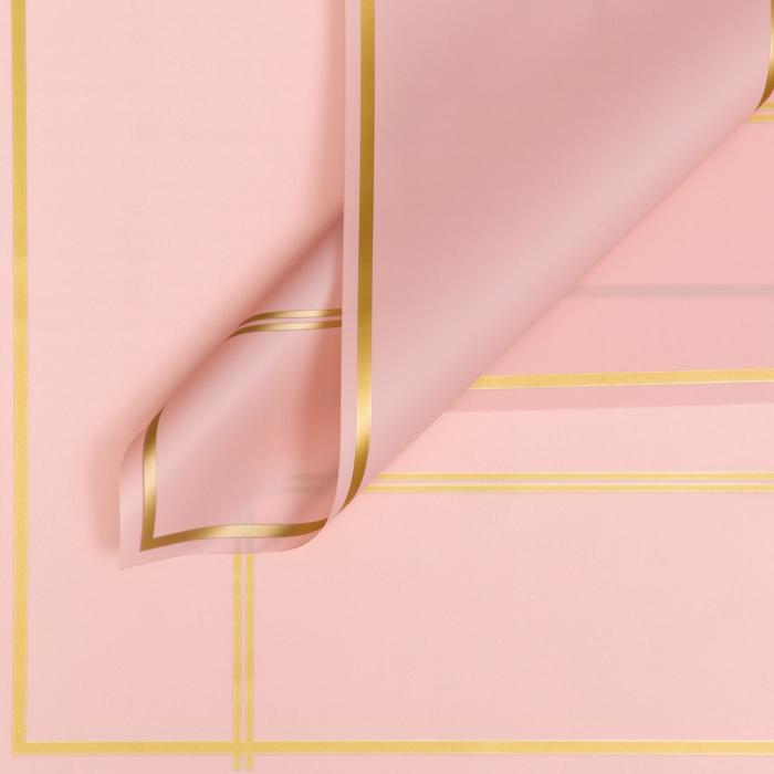 Пленка матовая "Квадраты", персиковый, 58 х 58 см
Пленка матовая "Квадраты", персиковый, 58 х 58 см