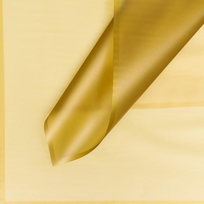 Пленка матовая "Половинки", серебро-золото, 58 х 58 см
Пленка матовая "Половинки", серебро-золото, 58 х 58 см